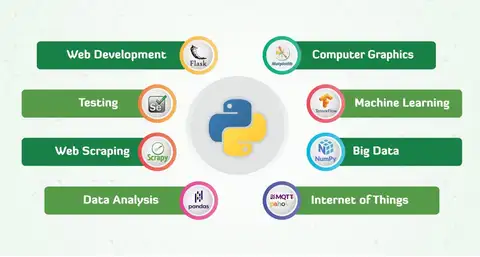 Best Programming Languages to Learn in 2024